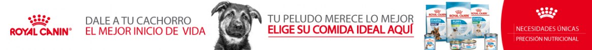 Royal Canin Perro 